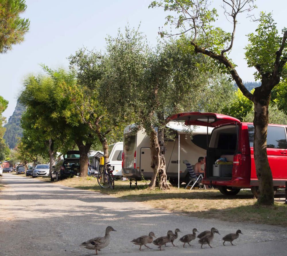 Campingplatz Serenella